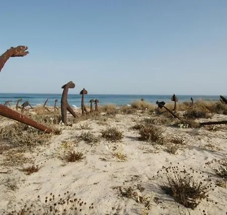 Casa Bidu Σπίτι διακοπών